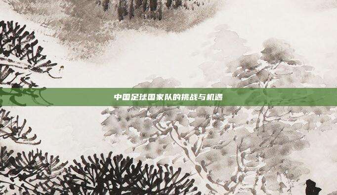 中国足球国家队的挑战与机遇