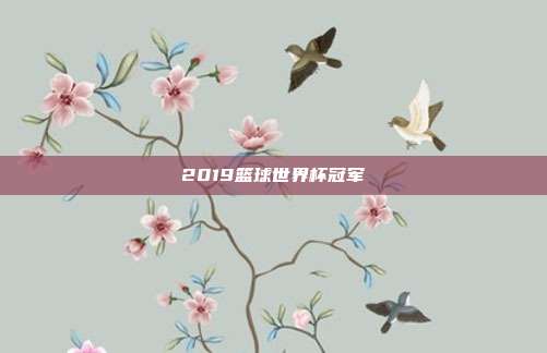 2019篮球世界杯冠军