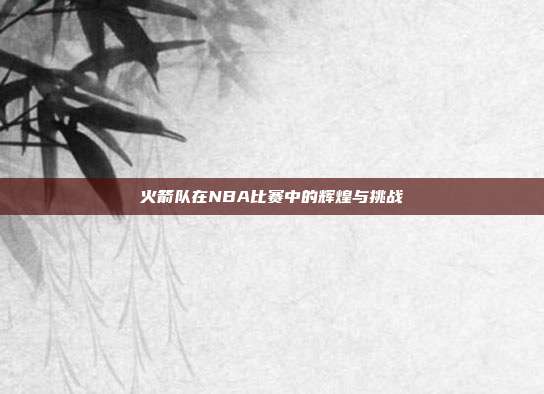 火箭队在NBA比赛中的辉煌与挑战