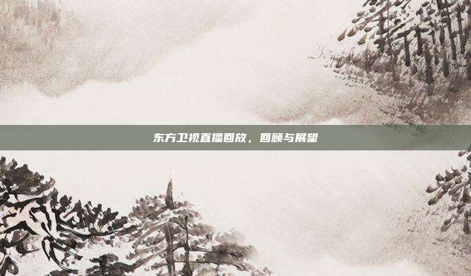 东方卫视直播回放，回顾与展望