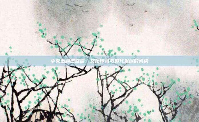 中央五频道直播，文化传承与时代发展的桥梁