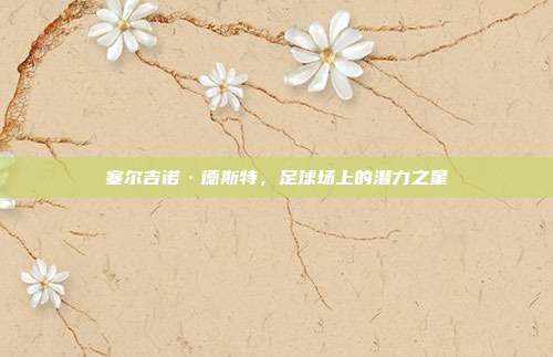 塞尔吉诺·德斯特，足球场上的潜力之星
