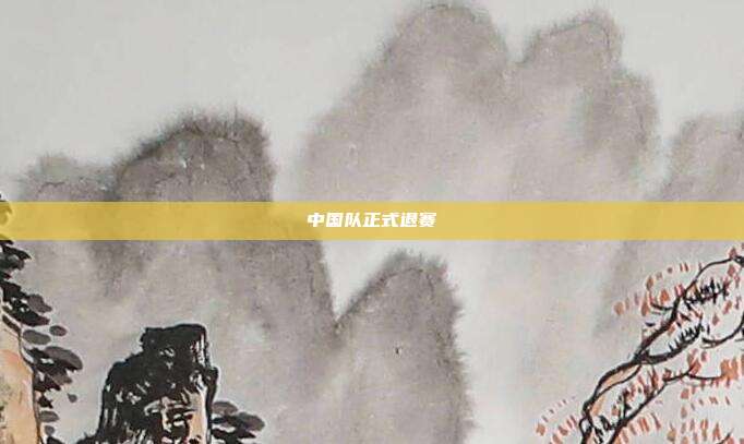 中国队正式退赛