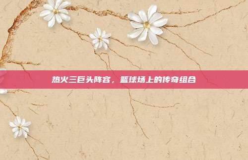 热火三巨头阵容，篮球场上的传奇组合