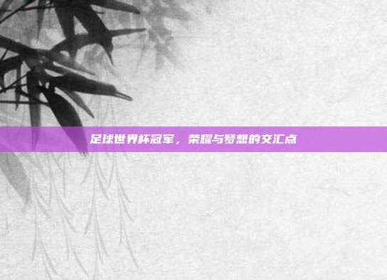 足球世界杯冠军，荣耀与梦想的交汇点