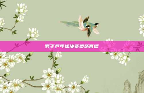 男子乒乓球决赛现场直播