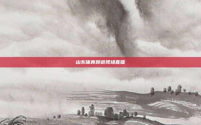 山东体育频道现场直播