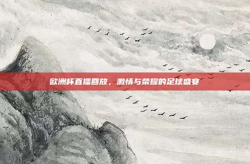 欧洲杯直播回放,激情与荣耀的足球盛宴