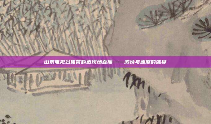 山东电视台体育频道现场直播——激情与速度的盛宴