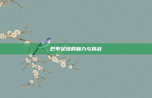 巴甲足球的魅力与挑战