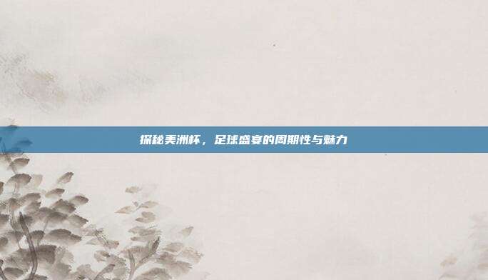 探秘美洲杯，足球盛宴的周期性与魅力