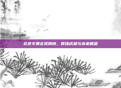 北京冬奥会奖牌榜,辉煌成就与未来展望