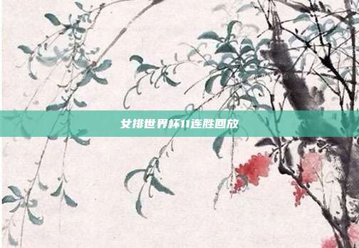 女排世界杯11连胜回放