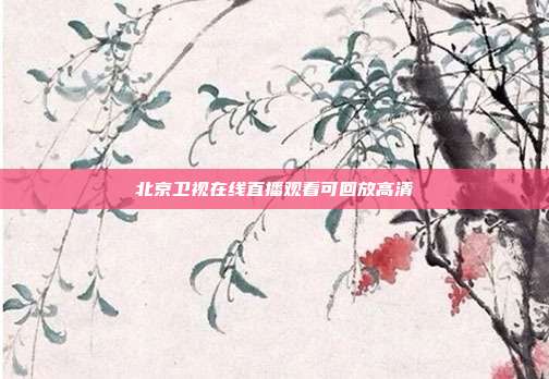北京卫视在线直播观看可回放高清