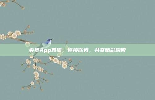 央视App直播，连接你我，共赏精彩瞬间