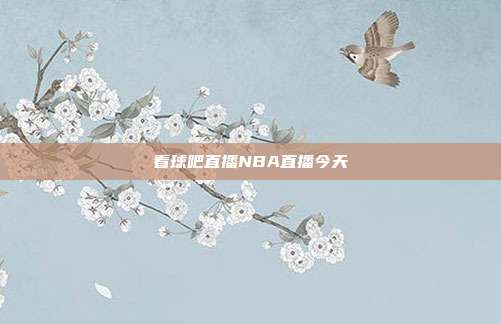 看球吧直播NBA直播今天