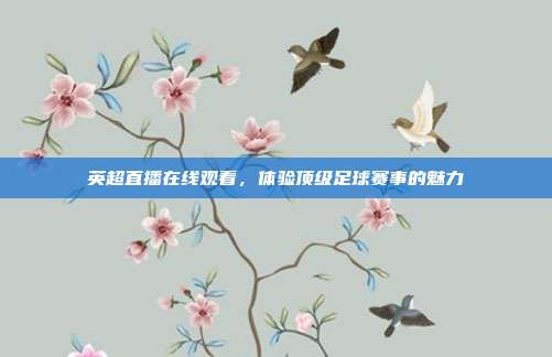 英超直播在线观看，体验顶级足球赛事的魅力