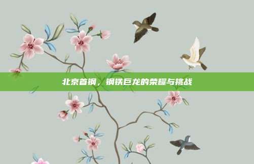 北京首钢，钢铁巨龙的荣耀与挑战