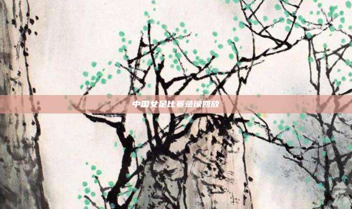中国女足比赛录像回放