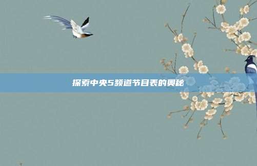 探索中央5频道节目表的奥秘