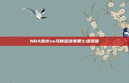 NBA热火vs马刺总决赛第七场录像