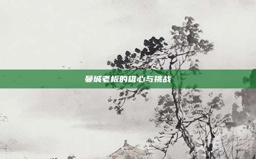曼城老板的雄心与挑战