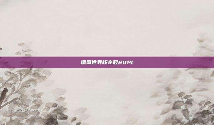 德国世界杯夺冠2014