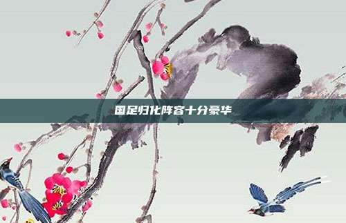 国足归化阵容十分豪华
