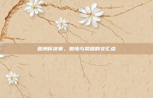 亚洲杯决赛,激情与荣耀的交汇点