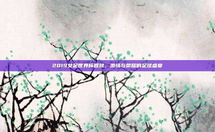 2019女足世界杯回放，激情与荣耀的足球盛宴