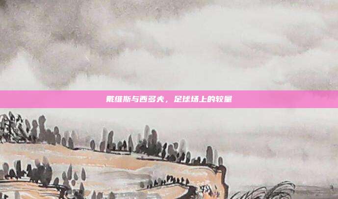 戴维斯与西多夫，足球场上的较量
