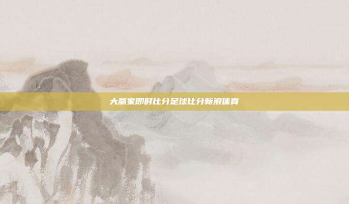 大赢家即时比分足球比分新浪体育
