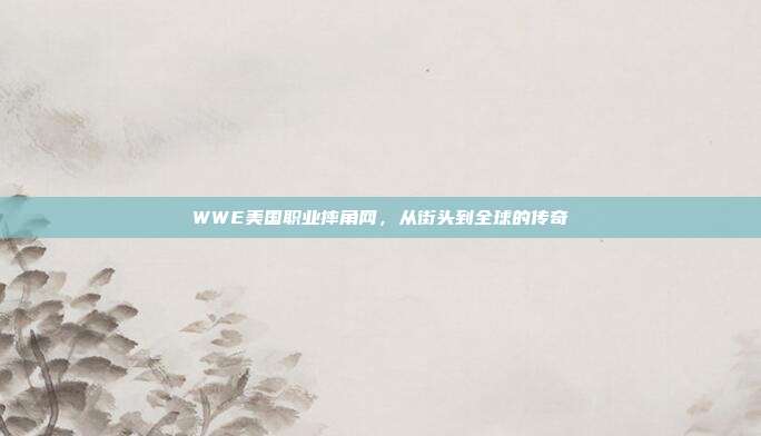 WWE美国职业摔角网，从街头到全球的传奇