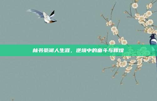 林书豪湖人生涯，逆境中的奋斗与辉煌
