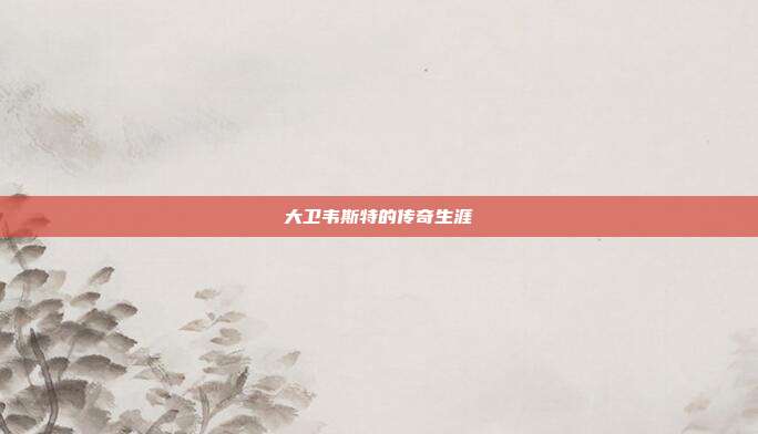大卫韦斯特的传奇生涯