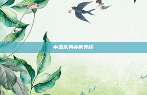 中国队勇夺世界杯