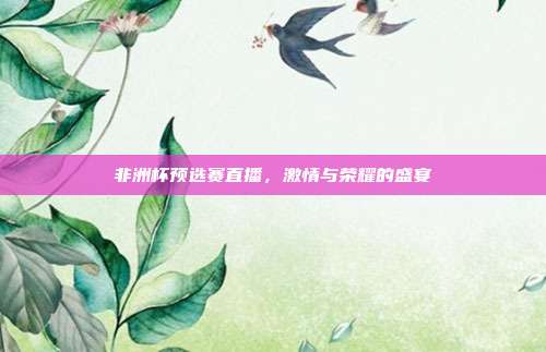 非洲杯预选赛直播，激情与荣耀的盛宴