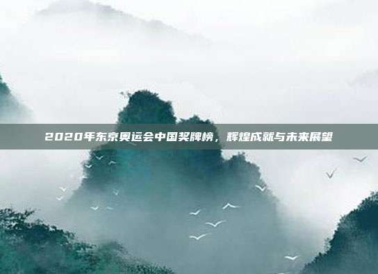 2020年东京奥运会中国奖牌榜，辉煌成就与未来展望