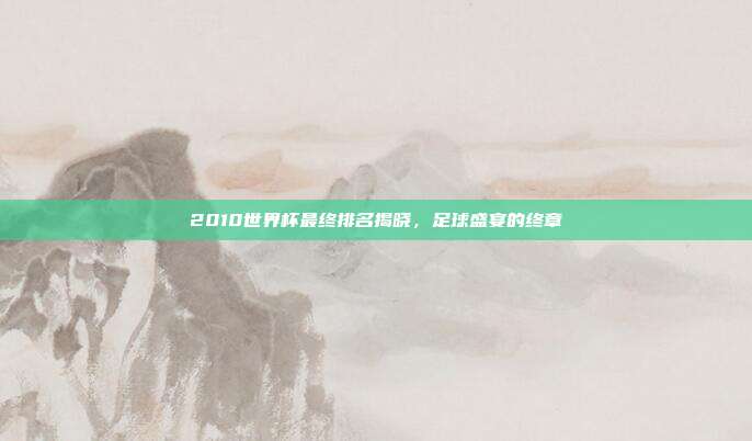 2010世界杯最终排名揭晓，足球盛宴的终章