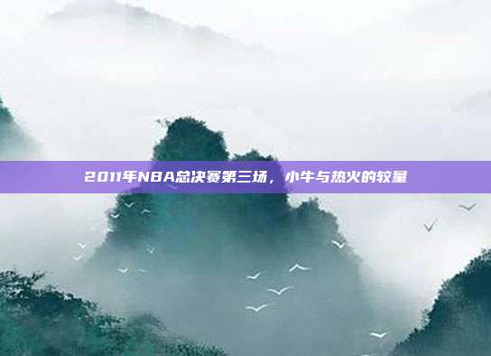 2011年NBA总决赛第三场，小牛与热火的较量