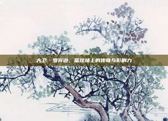 大卫·罗宾逊，篮球场上的传奇与影响力