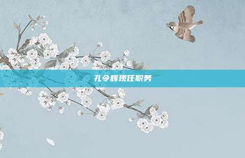 孔令辉现任职务
