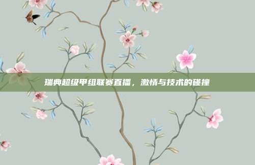 瑞典超级甲组联赛直播，激情与技术的碰撞
