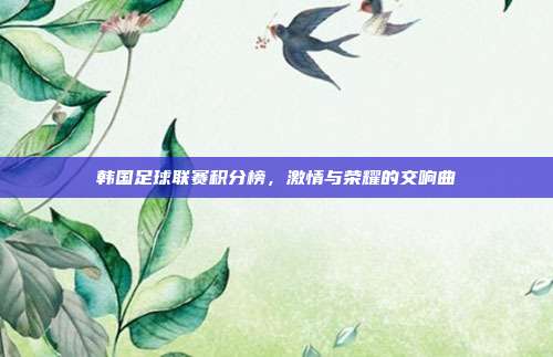 韩国足球联赛积分榜，激情与荣耀的交响曲
