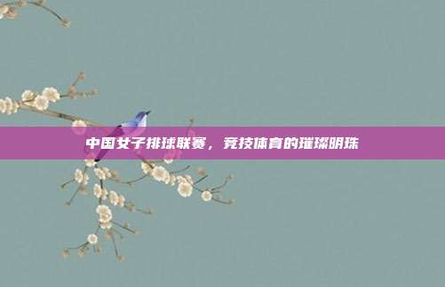 中国女子排球联赛，竞技体育的璀璨明珠