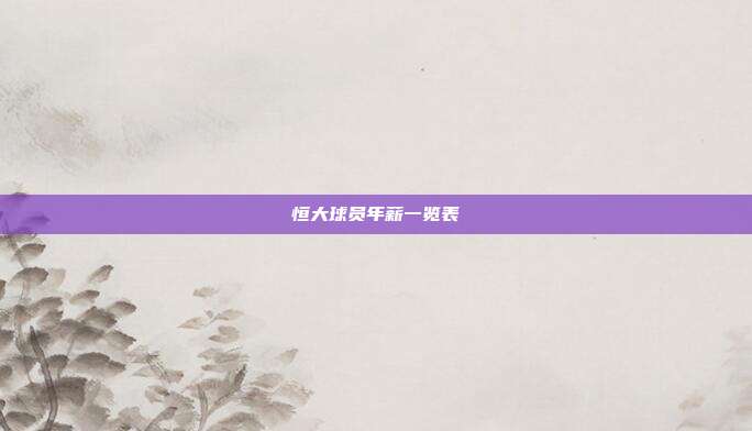 恒大球员年薪一览表