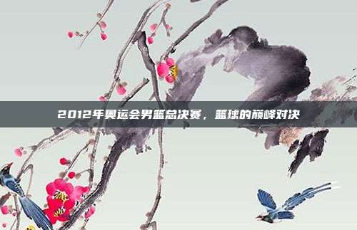 2012年奥运会男篮总决赛，篮球的巅峰对决
