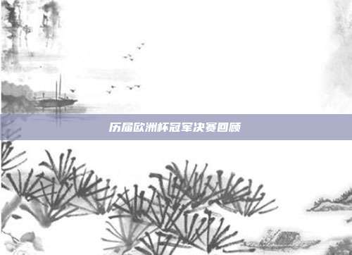 历届欧洲杯冠军决赛回顾
