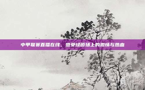 中甲联赛直播在线,感受绿茵场上的激情与热血