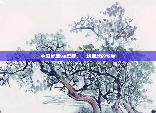 中国女足vs巴西，一场足球的较量